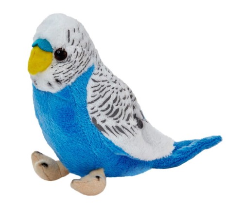 Papuga falista biało-niebieska 13 cm - Beppe