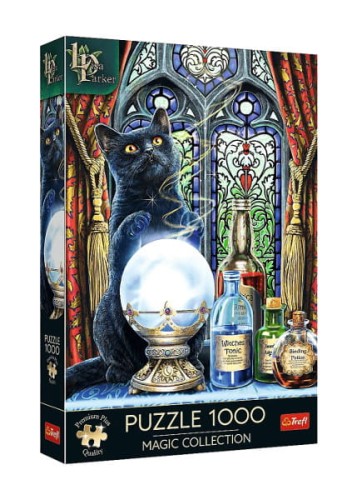 Puzzle 1000 Premium Plus Uczeń czarownicy - Trefl