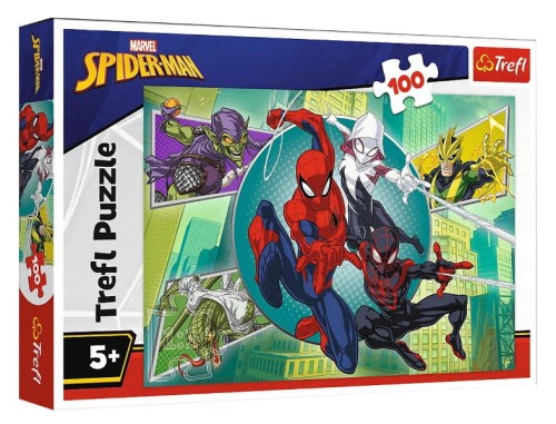 Puzzle 100 Pajęcza maska