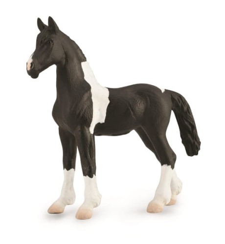 Źrebię barcock pinto - Collecta