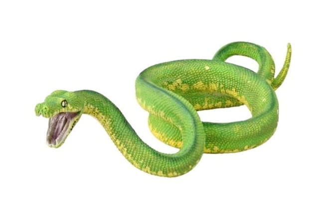 Pyton zielony - Collecta