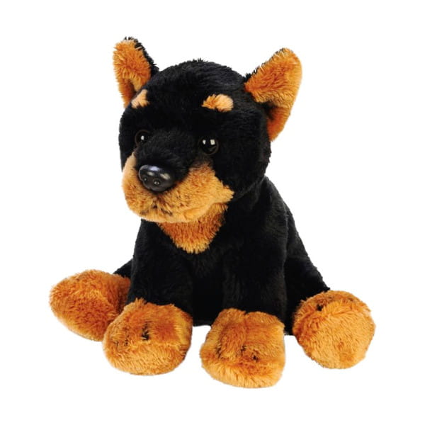 Pies Doberman - SUKI plusz