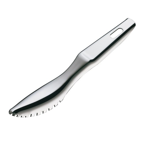 Skrobak do ryb, 19 cm