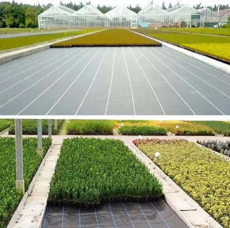 Agrotkanina Czarna 1,1x50m UV 135g Antychwastowa Agrowłóknina + Kotwy